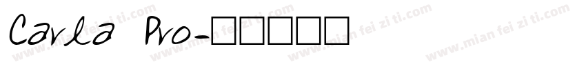 Carla Pro字体转换